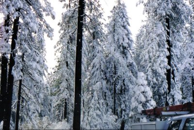 20010206COHASSETSNOW.JPG, 45 kB