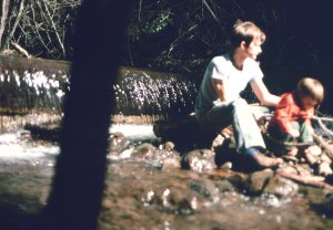 DAM1980AB24.JPG, 17 kB