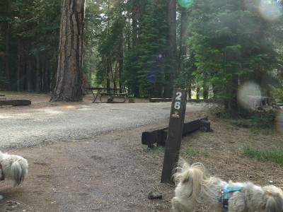 Alma-Space26.jpg, 43kB