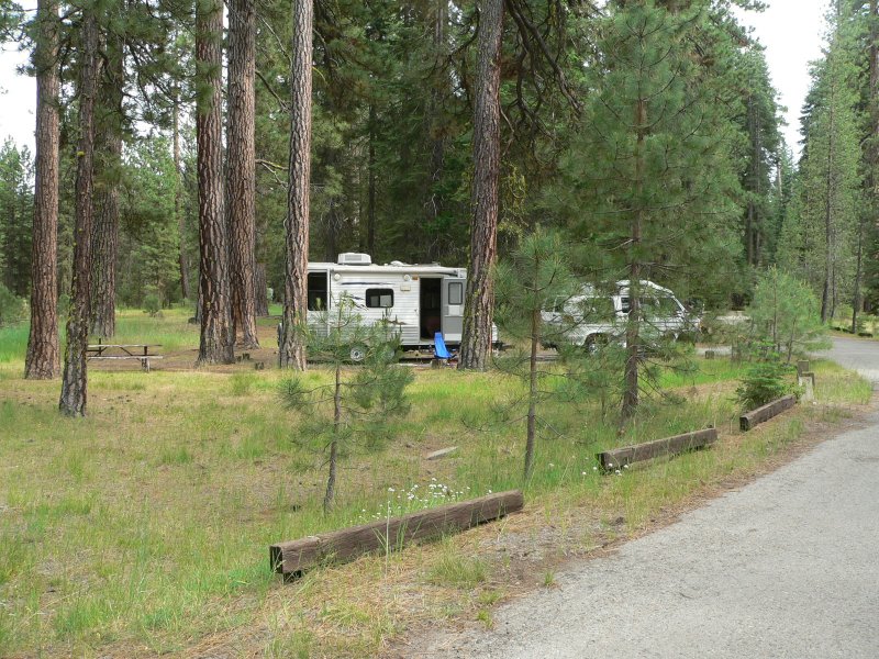 Alman-Rig-Sp20.jpg, 165kB