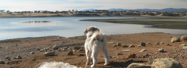 2014-CalmSpot.jpg, 44kB