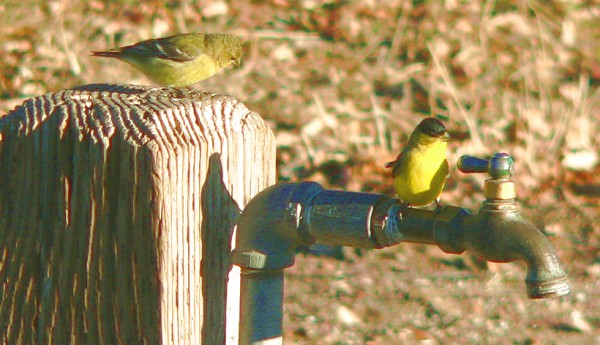 2014-Fench.jpg, 68kB