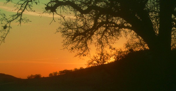 2014-SunRiseFarSpot.jpg, 48kB