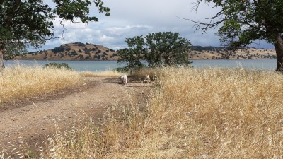 20160521NoWait.jpg, 43kB