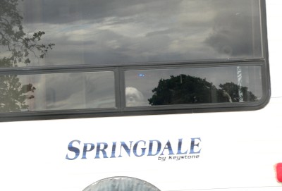 Black-Callie.jpg, 18kB