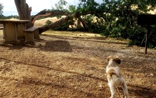 Black20190517_180514.jpg, 69kB