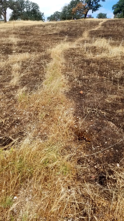 Black20190519_105635.jpg, 218kB