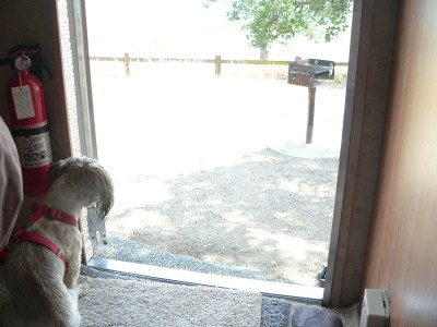 BlackButte-CarpetSqs.jpg, 31kB