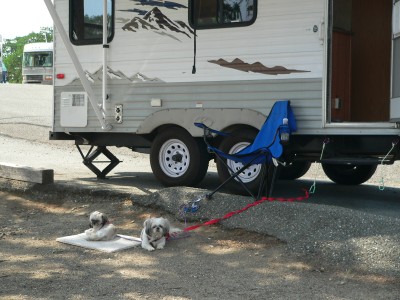 BlackButte-NoLeashes.jpg, 41kB