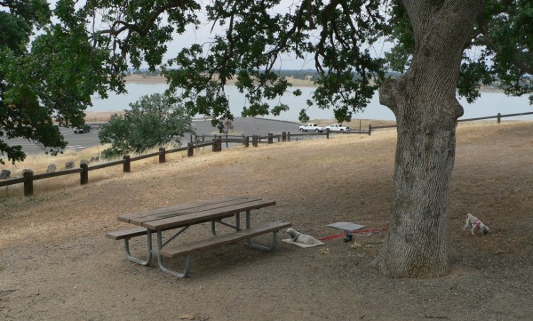 BlackButte-Site.jpg, 89kB