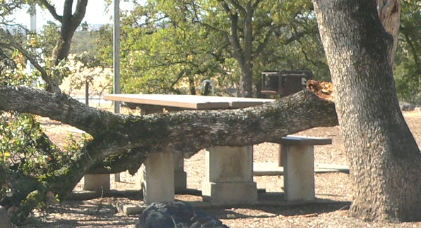 BrokenLimb.jpg, 82kB