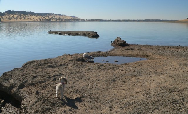 LexyWaterCallie.jpg, 63kB