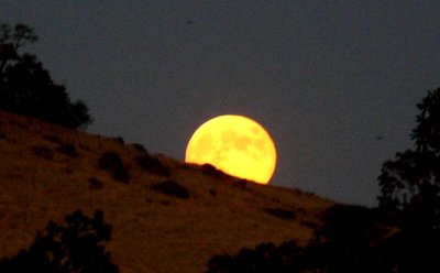 MoonRiseEast.jpg, 13kB