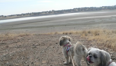 NorthEndDry.jpg, 30kB