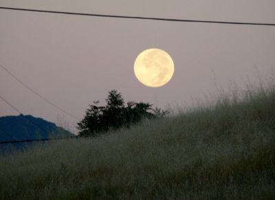 RobinsonMoon.jpg, 12 kB