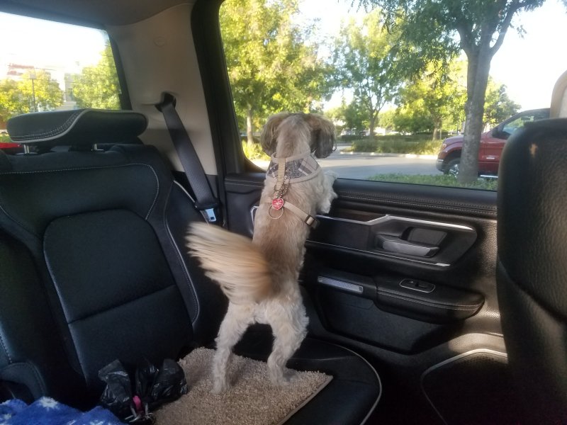 20210920_CallieClucker.jpg, 87kB