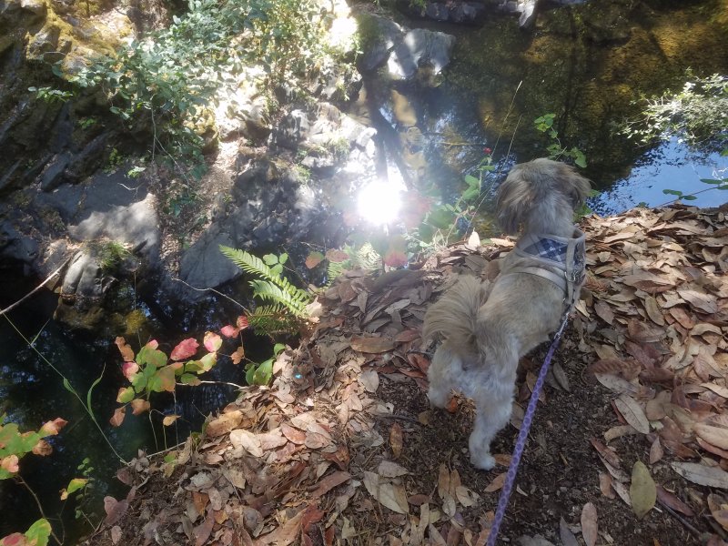 20210921_125828Dongke.jpg, 155kB