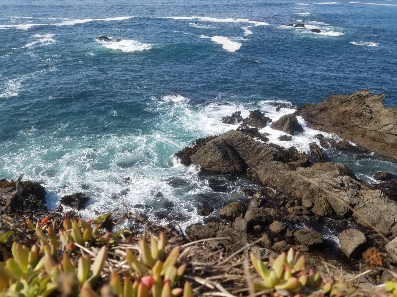 20210921_151826Edge.jpg, 154kB