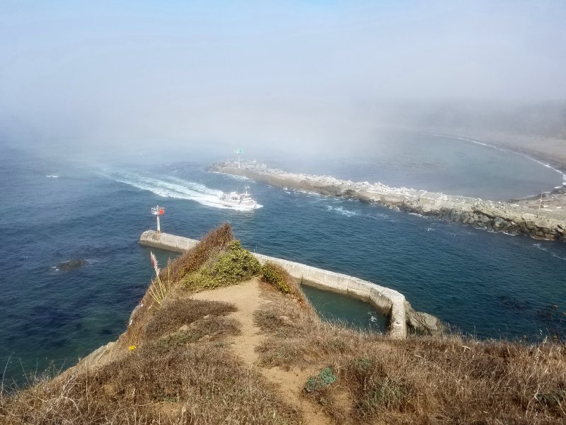 20210924_114116FogHarbor.jpg, 100kB