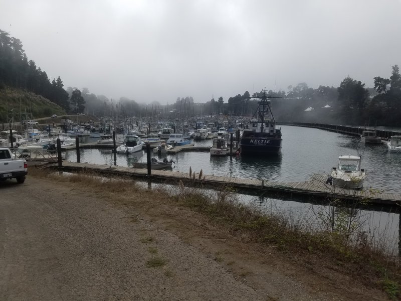 20210924_152138Boats.jpg, 93kB