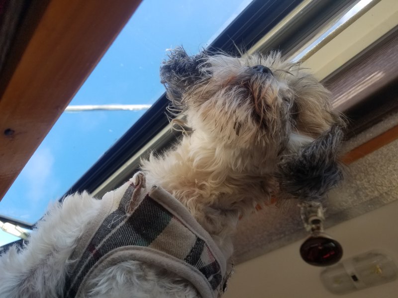 20220831_150435Benieth.jpg, 78kB