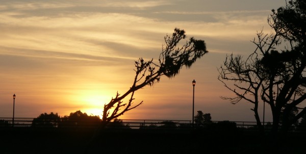 Bridge20150426.jpg, 38kB