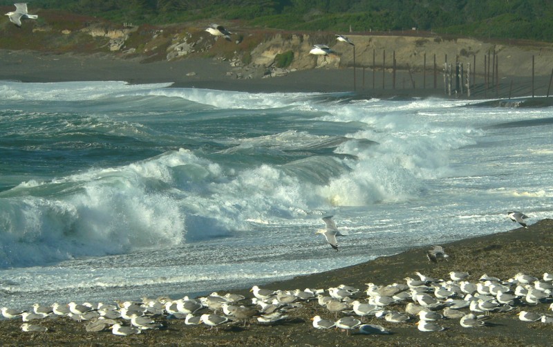 FortBragg-800.jpg, 131kB