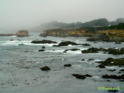 COAST0921.JPG, 28 kB