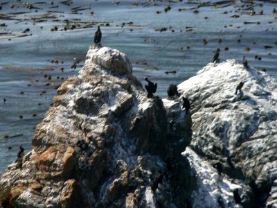 HarborRocks-08-09.jpg, 49kB