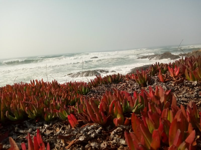 IMG_20230919_153638Beach.jpg, 92kB