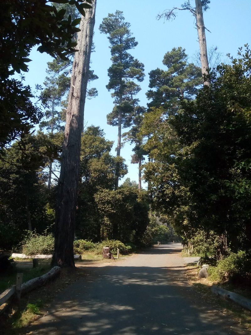 IMG_20230920_114002Path.jpg, 251kB