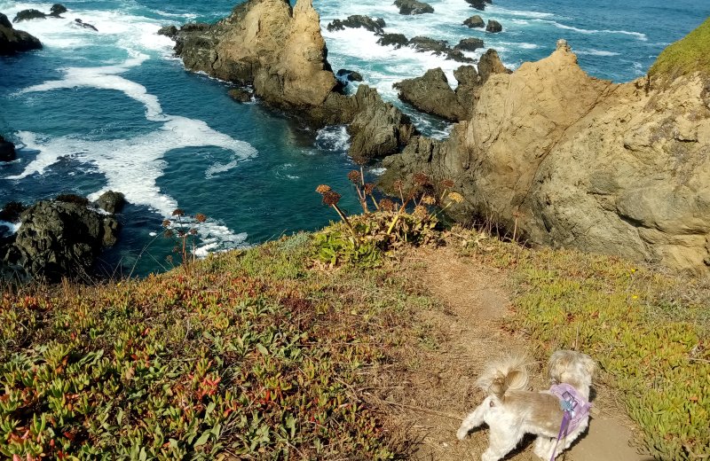 IMG_20230922_113545Cliff.jpg, 179kB