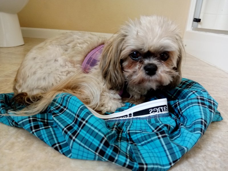 IMG_20240315_124934.jpg, 90kB