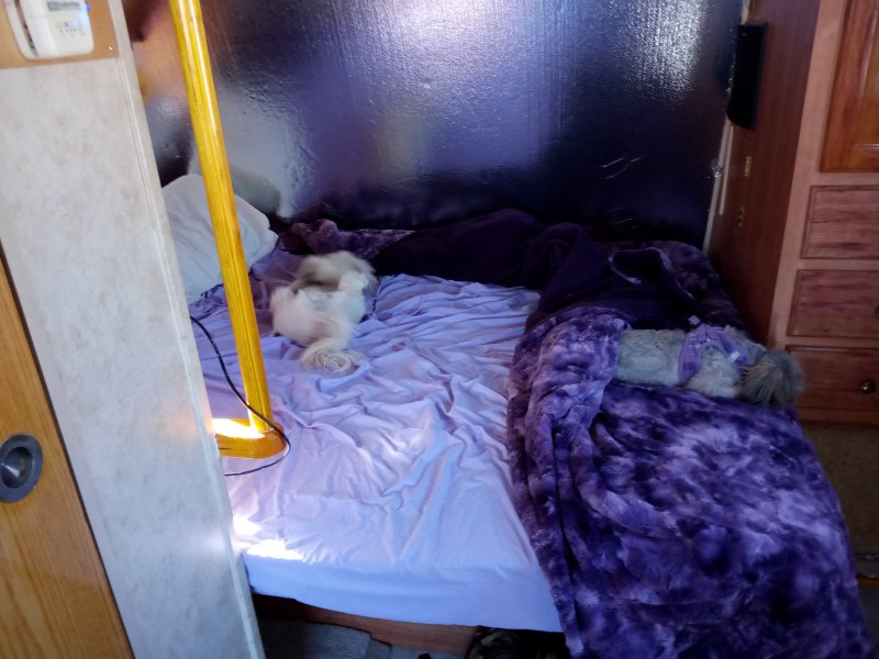 IMG_20240316_091918Bed.jpg, 80kB