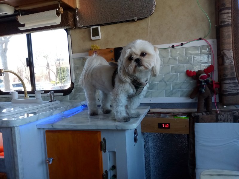 IMG_20240316_121940Taffie.jpg, 83kB