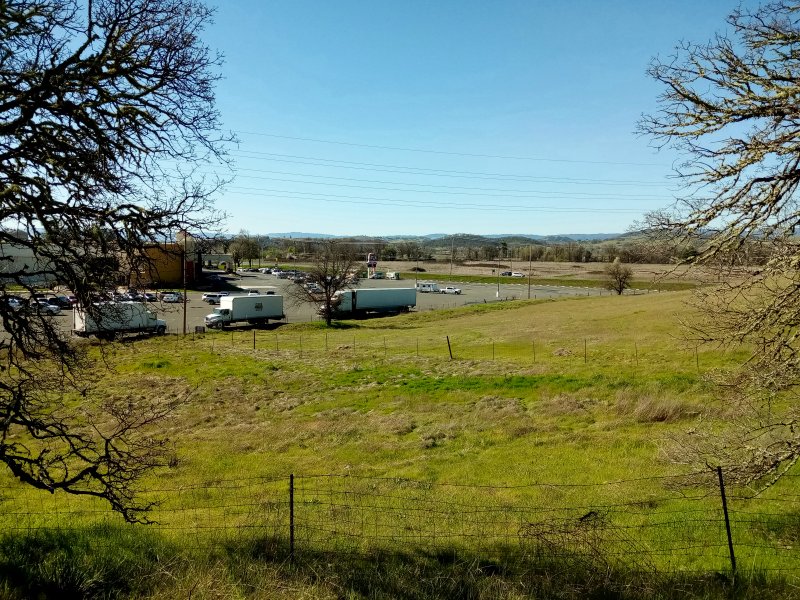 IMG_20240317_10491Ranchero.jpg, 169kB