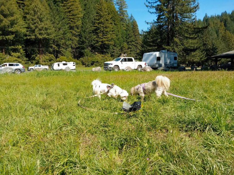 IMG_20240317_124511Donkey.jpg, 207kB