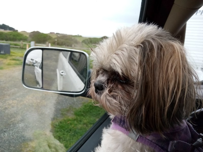 IMG_20240319_144754Callie.jpg, 82kB