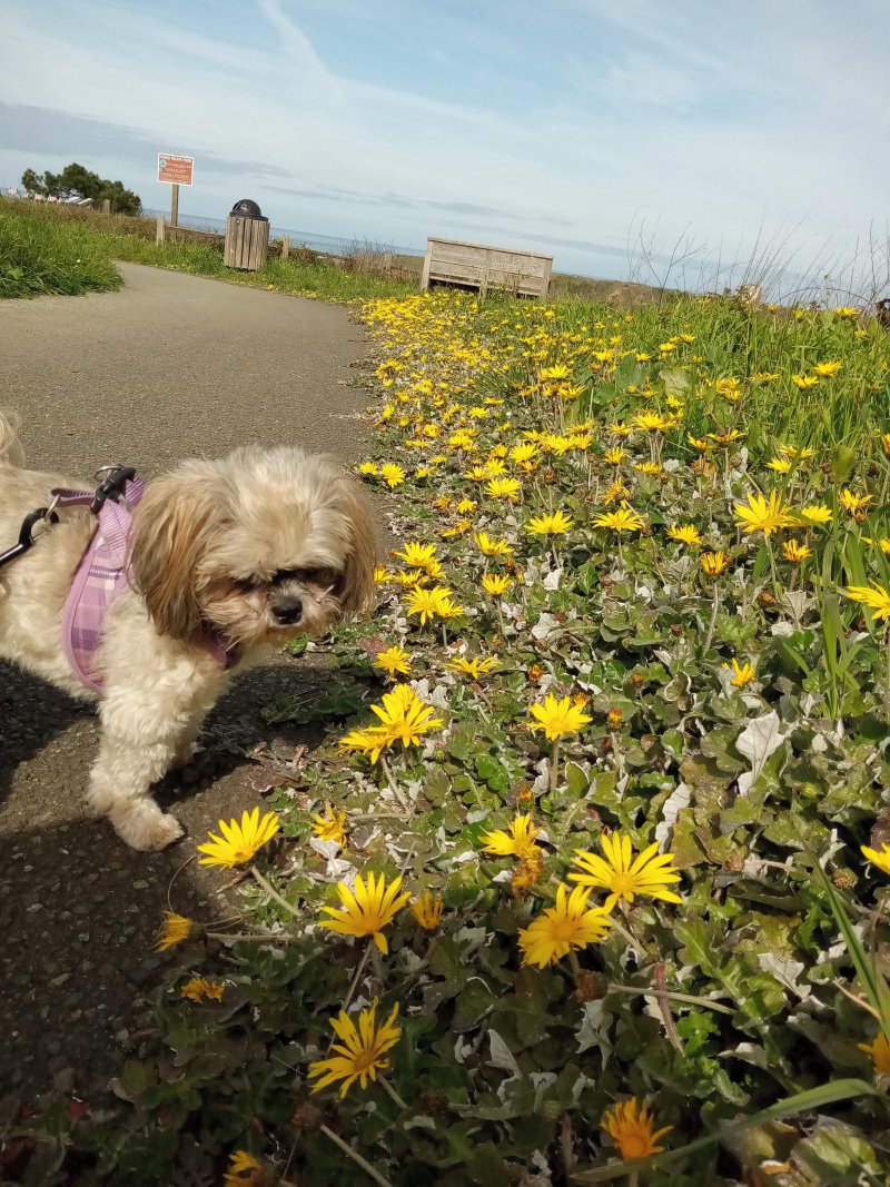 IMG_20240320_111552DaisyCallie.jpg, 245kB