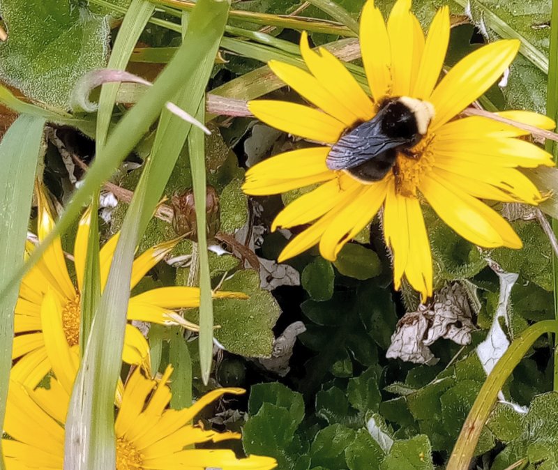 IMG_20240320_150128Last.jpg, 138kB