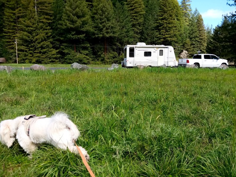 IMG_20240321_124926Donkey.jpg, 194kB