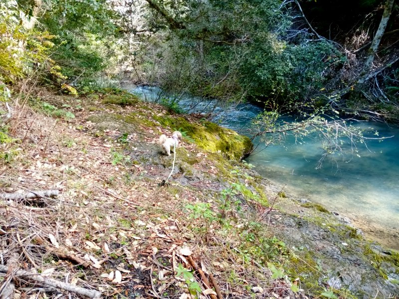 IMG_20240321_125253Donkey.jpg, 221kB