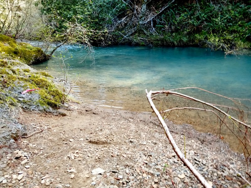 IMG_20240321_125330Donkey.jpg, 188kB