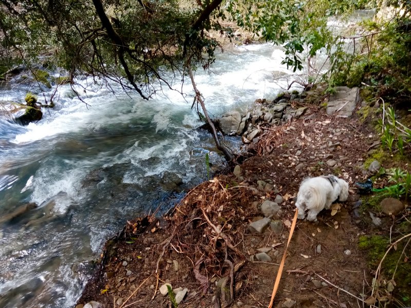 IMG_20240321_125544Donkey.jpg, 191kB