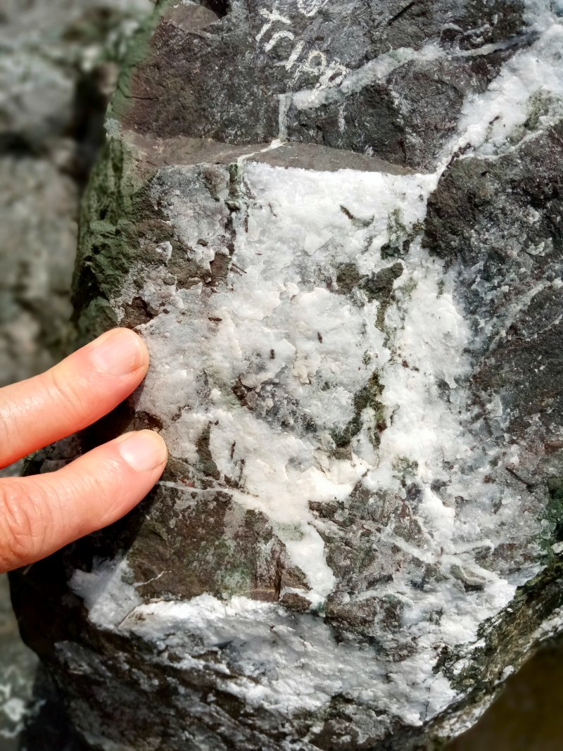 IMG_20240321_132002Donkey.jpg, 230kB