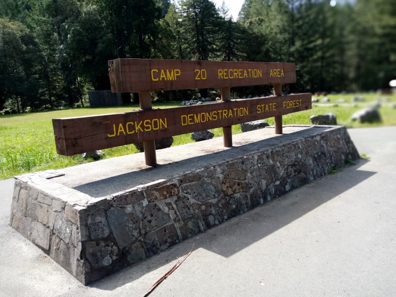 IMG_20240321_132025Donkey.jpg, 116kB