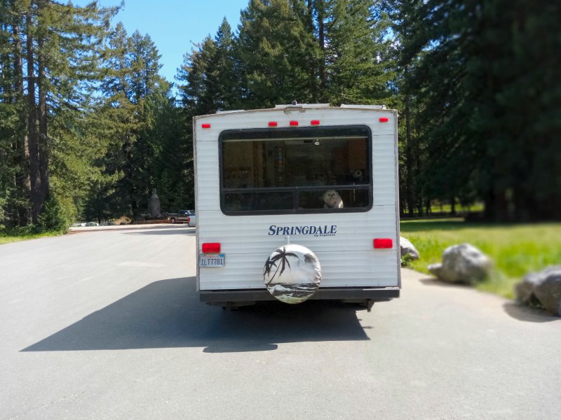 IMG_20240321_132109Donkey.jpg, 97kB