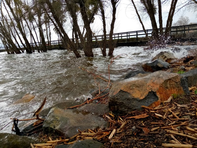 IMG_20240322_123139Foster.jpg, 197kB