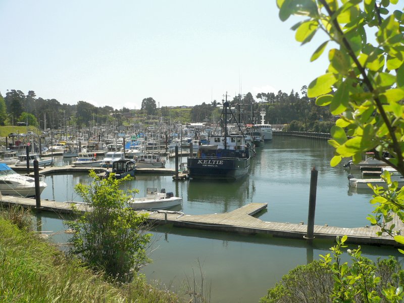 Noyo-southMarina.jpg, 119kB