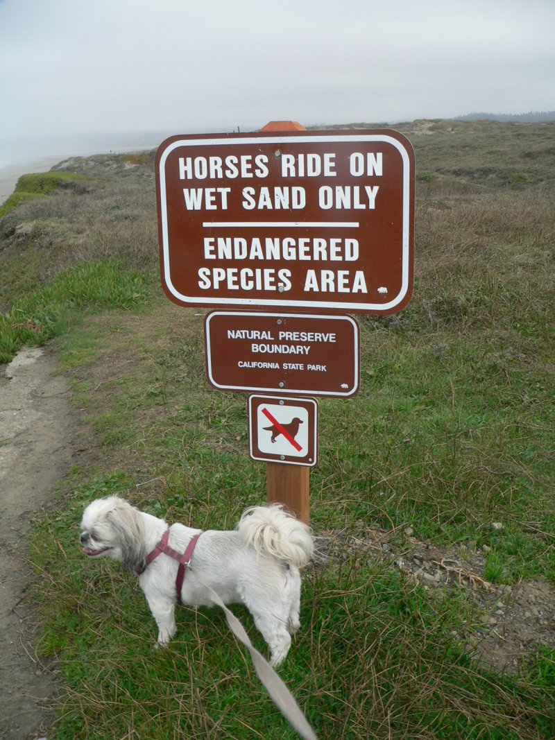 P1230074Restrict.jpg, 203kB